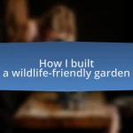 How I built a wildlife-friendly garden