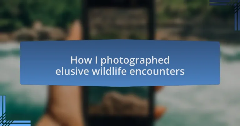 How I photographed elusive wildlife encounters