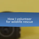 How I volunteer for wildlife rescue