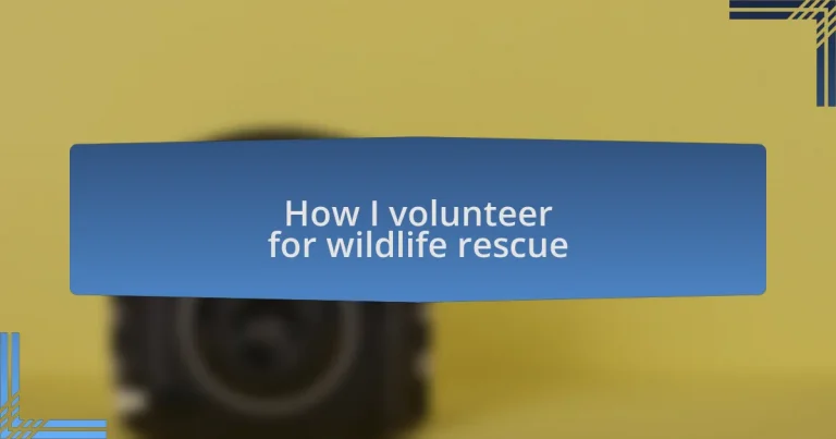 How I volunteer for wildlife rescue