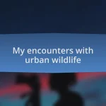 My encounters with urban wildlife