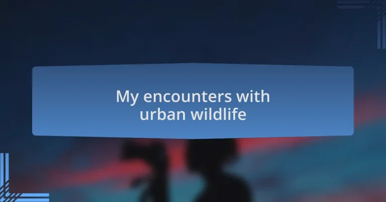 My encounters with urban wildlife