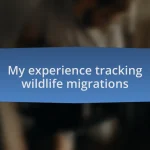 My experience tracking wildlife migrations