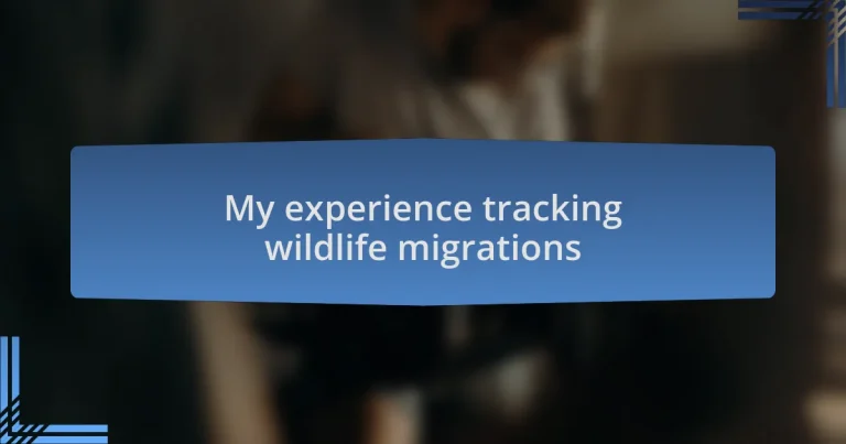 My experience tracking wildlife migrations