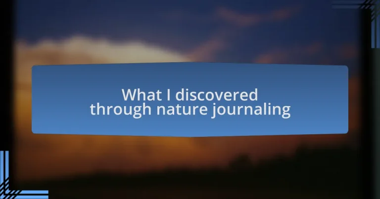 What I discovered through nature journaling