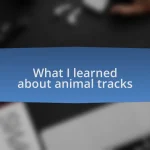 What I learned about animal tracks