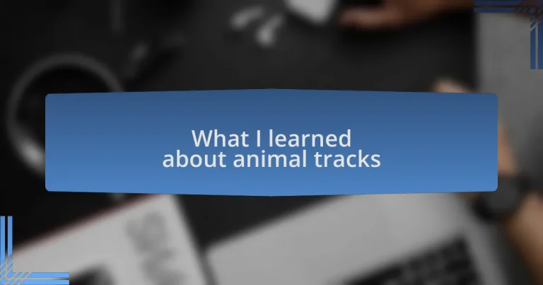 What I learned about animal tracks