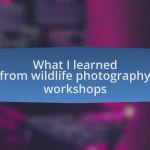 What I learned from wildlife photography workshops