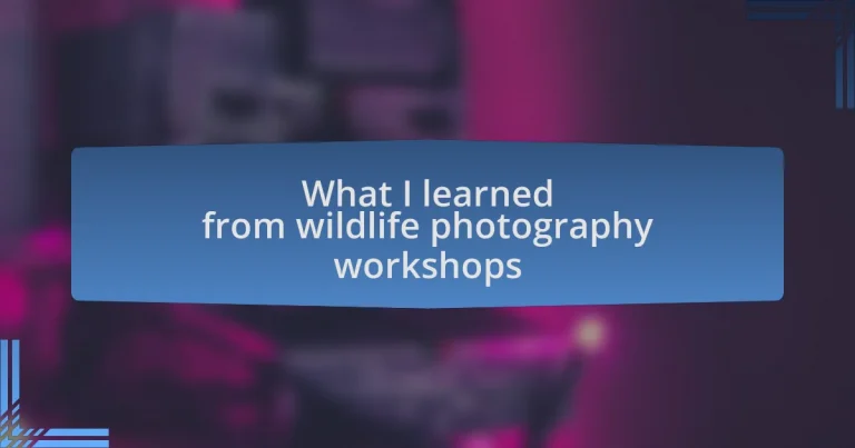 What I learned from wildlife photography workshops