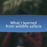 What I learned from wildlife safaris