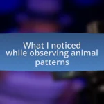 What I noticed while observing animal patterns