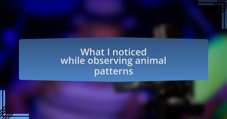 What I noticed while observing animal patterns